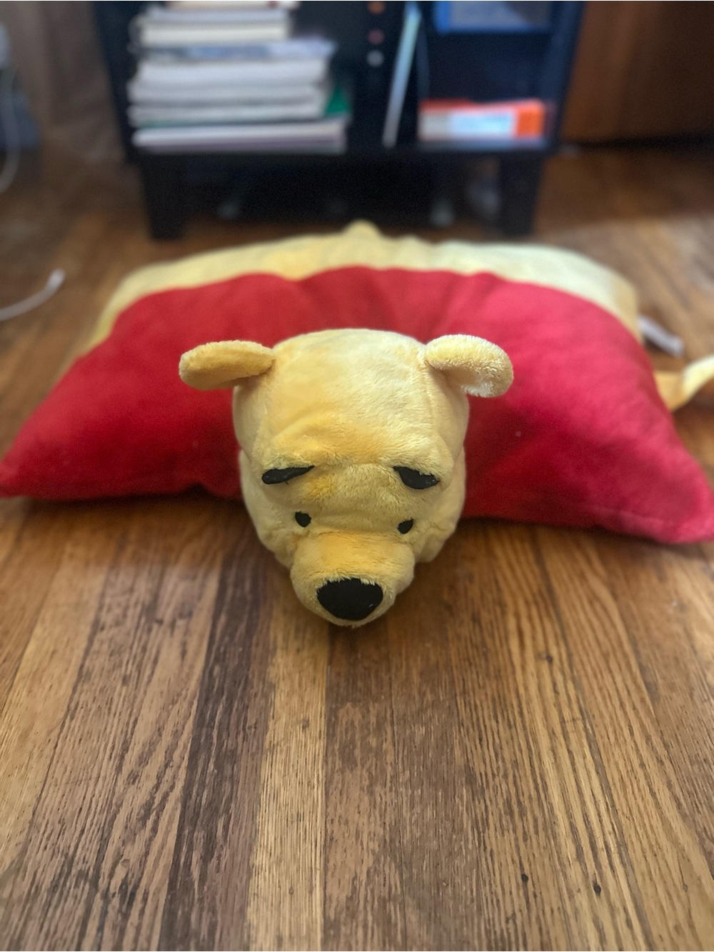 Plush Winnie the Pooh Plush